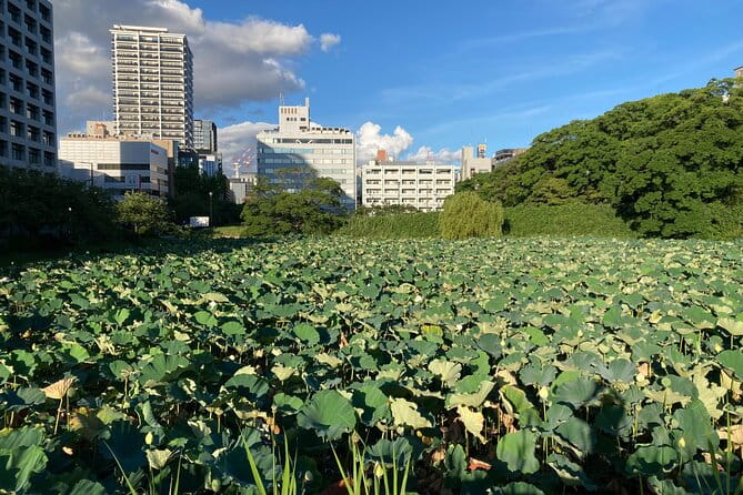 Fukuoka City Walking and Public Transport Tour - Exploring Fukuoka City