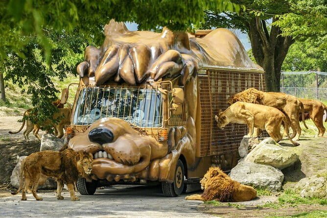 Fukuoka Day Trip to Yufuin, Beppu Hell Onsen and Animal Park - Participant Guidelines