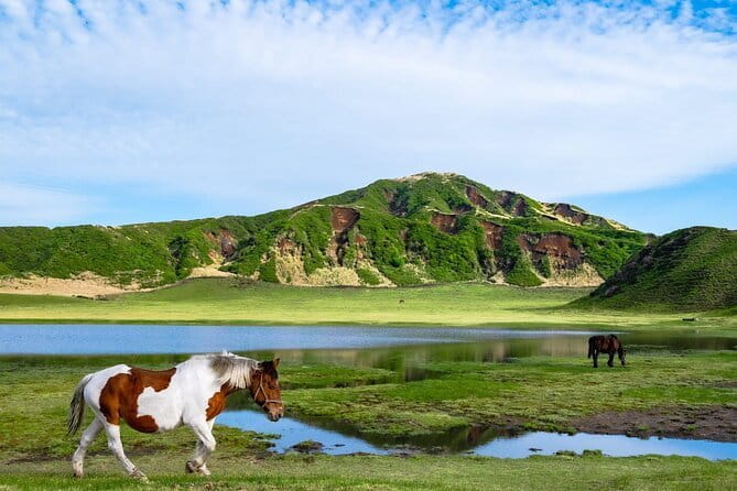 Fukuoka: Mount Aso Volcano, Kumamoto Castle, Grasslands Day Tour - Meeting and Pickup Information