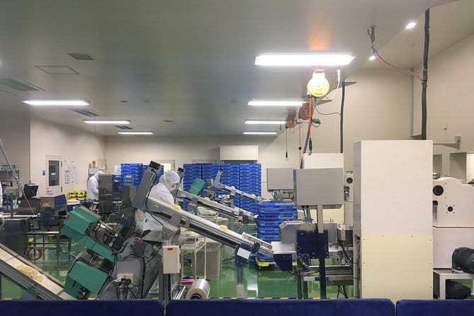 Fukuoka Nature and Cultural Sightseeing Tour - Tour Itinerary