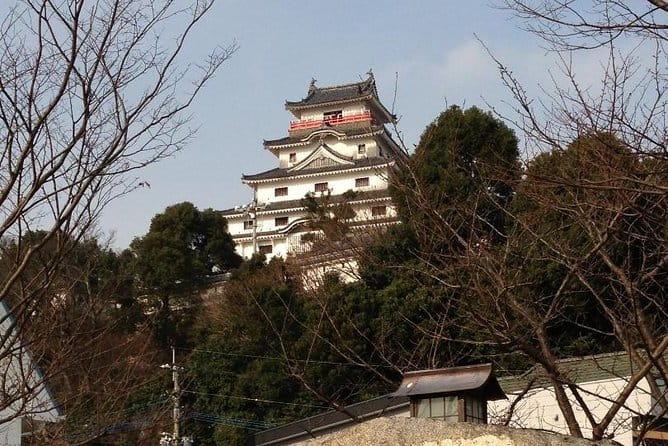 Fukuoka Nature and Cultural Sightseeing Tour - Contact Information