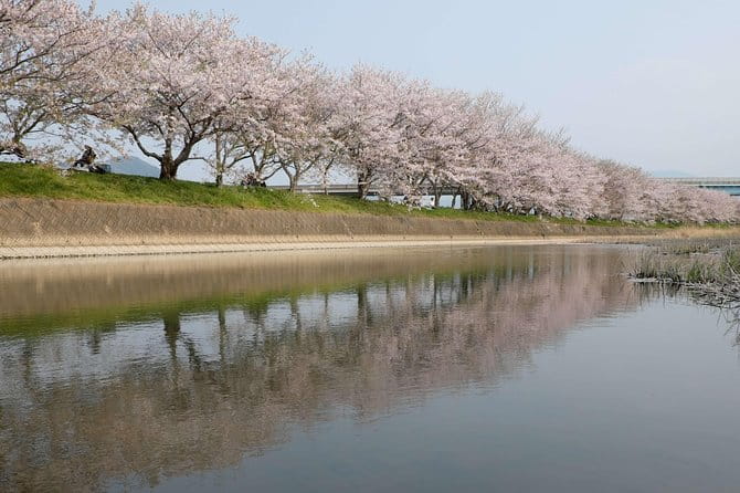 Fukuoka Private Customizable Half Day Tour - Tour Details and Requirements