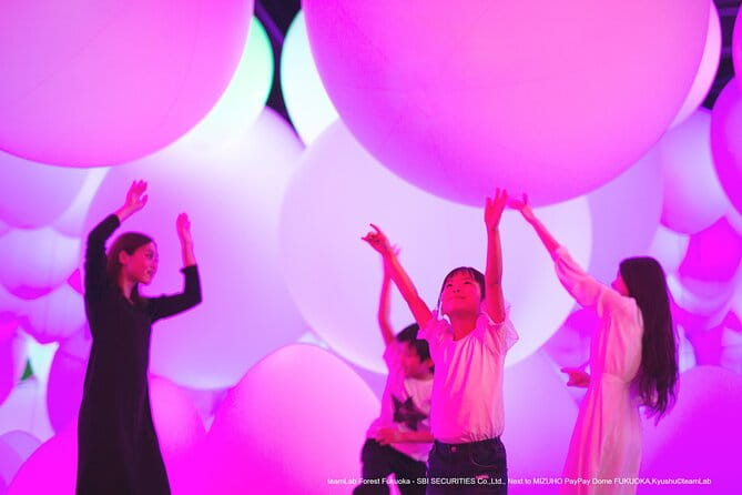 Fukuoka Strawberry Picking, Shopping and TeamLab Day Bus Tour - The Sum Up