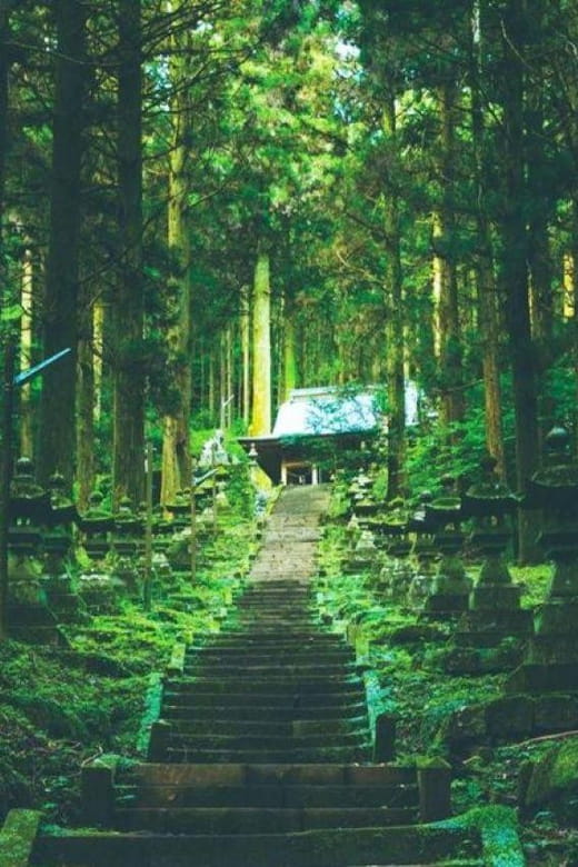 Fukuoka Takachilo Gorge Tour Review - Transportation and Accessibility