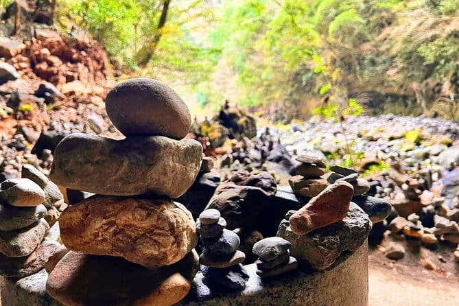 Fukuoka to Takachiho Shrine Tour With Optional Beef Lunch - Key Points