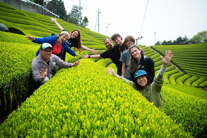 Full Day 7hr Private Van True Hidden Kyoto Matcha Farm Experience - Inclusions