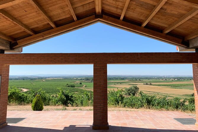 Full day at the winery, visit, tasting, aperitif and lunch - The Complete Guide to Your Day at Bodegas Durón