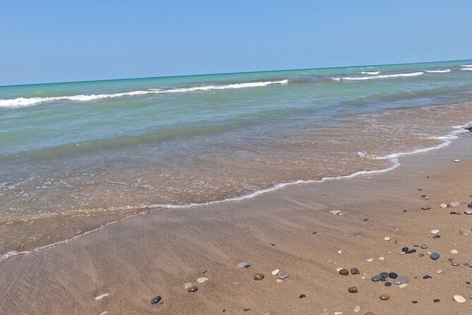 Full-Day Beach Day at Grand Bend - Accessibility and Transportation
