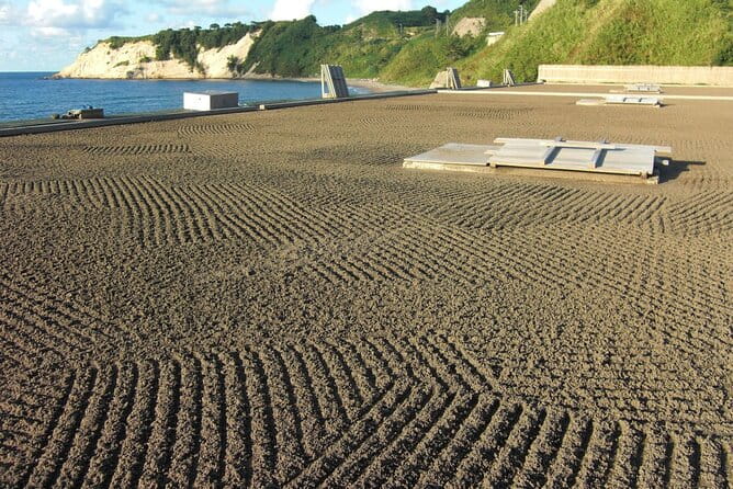 Full-Day Bicycle Tour on the Noto Peninsula - Detailed Tour Route and Schedule