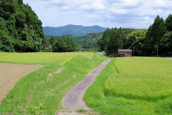 Full-Day Bicycle Tour on the Noto Peninsula - Important Considerations for Participants