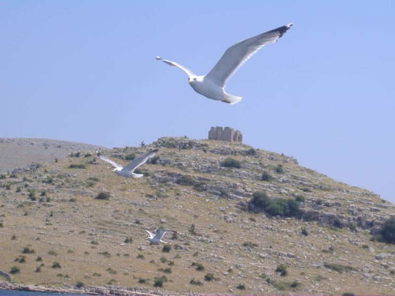 Full-day boat trip from Zadar and Sukoan to Kornati NP - FAQ