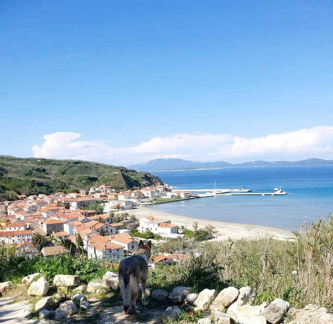 Full day boat-trip Medulin, blue Cave, Cres + dolphin search - The Sum Up: A well-rounded Croatian coast experience