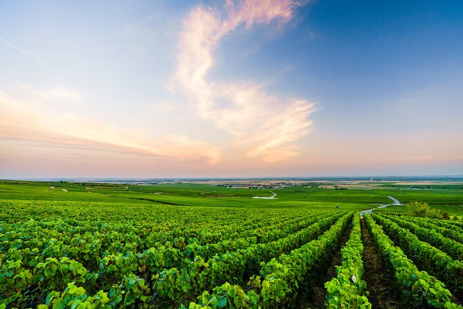 Full Day Champagne Pommery Small Group Tour - Accessibility and Accommodations