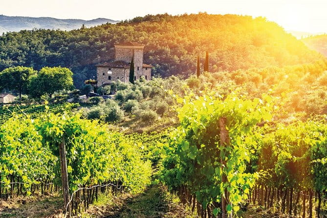 Full-Day Chianti Tour by Vespa Scooter from San Gimignano - Final Thoughts: Is It Worth It?
