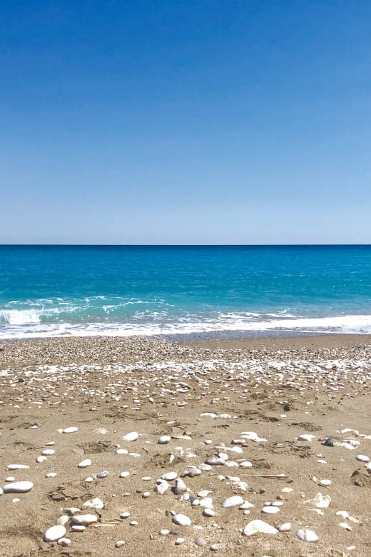 Full-day Cruise to Rhodes Island with Lunch - Price, Logistics, and Practical Tips