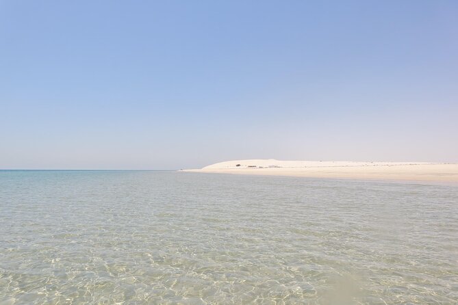 Full Day Desert Safari Doha - Experience