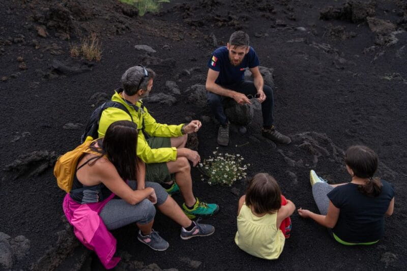 Full-Day Etna and Wine Tour from Catania - Who Will Love This Tour?