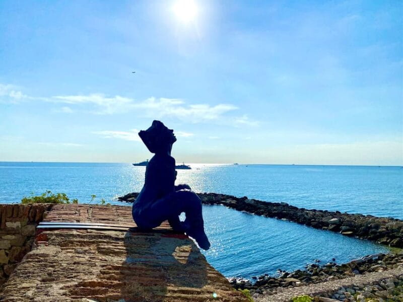 Full day French Riviera Panorama Tour - Who Will Love This Tour?