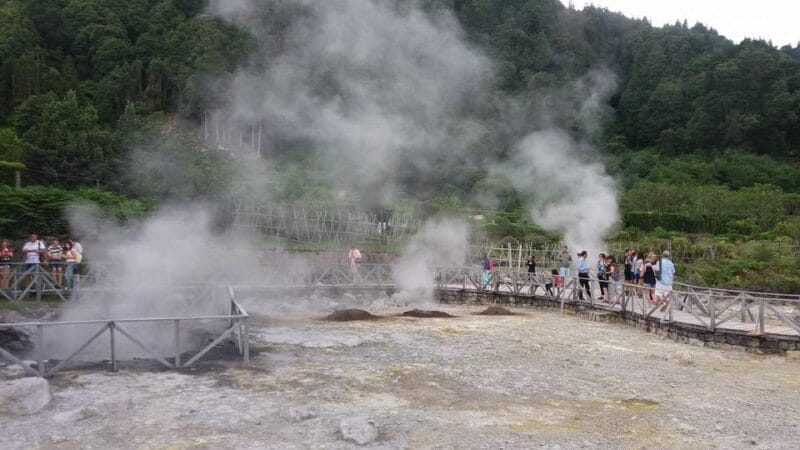 Full day Furnas | Hotsprings | Thermal Baths | Tea Factory - The Charm of Gorreana Tea and Botanical Gardens