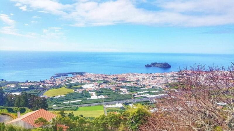 Full day Furnas | Hotsprings | Thermal Baths | Tea Factory - Who Is This Tour Best For?