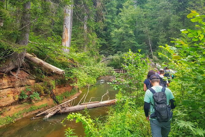 Full Day Gauja National Park Ultimate Hiking & Sightseeing Trip - Key Points / Takeaways