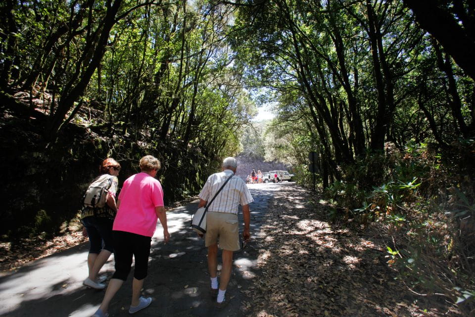 Full-Day Gomera Jeep Safari From Puerto De La Cruz - Highlights of the Safari