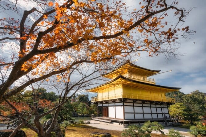 Full Day Guided Kyoto Cultural Tour - Included and Excluded Amenities