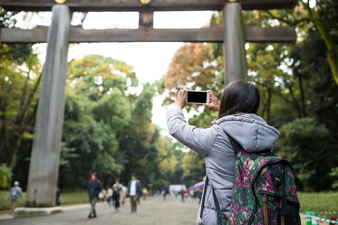 Full-Day Guided Private Tour in Tokyo, Japan - Inclusions and Accessibility