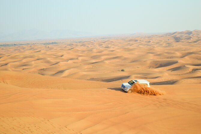 Full-Day Guided Red Dunes Desert Tour in Dubai With Camel Ride - Key Points
