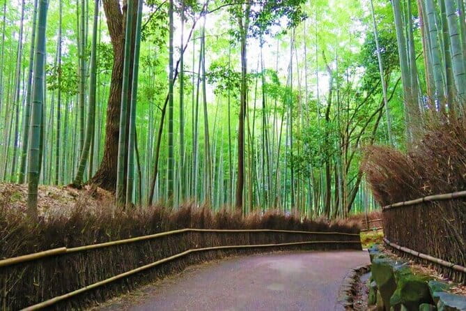 Full Day Guided Tour to Kyoto TOP 3 From Osaka by Van - Comfortable and Convenient Transportation
