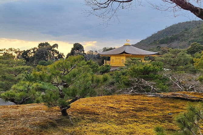 Full Day Guided Tour to Kyoto TOP 3 From Osaka by Van - Booking and Cancellation Policies