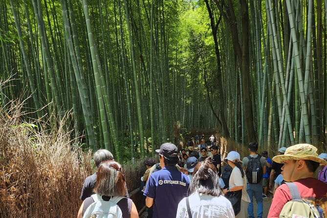 Full Day Guided Tour to Kyoto TOP 3 From Osaka by Van - Reviews and Traveler Experiences