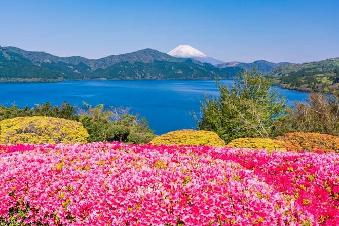 Full Day Guided Trip to Mt. Fuji and Hakone From Tokyo - Weather Considerations