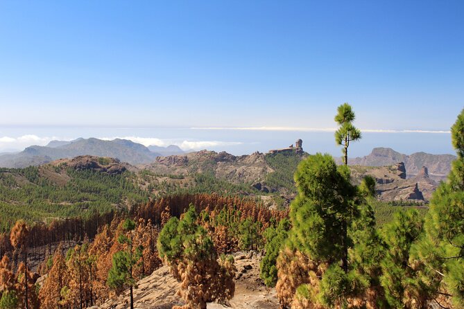 Full Day Hiking Gran Canaria Peaks of Gran Canaria - Route Modifications and Changes