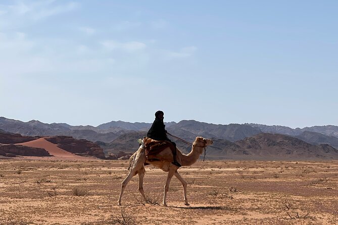 Full-Day Hiking in Wadi Rums Desert With Lunch - Pricing and Group Size