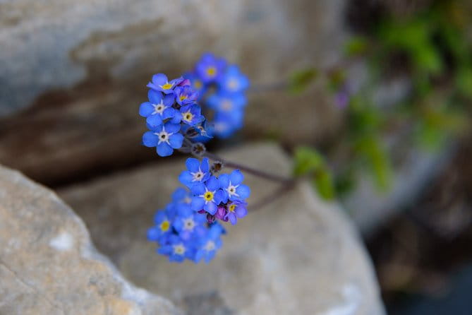 Full-Day Hiking Mount Taygetos Summit with Picnic - The Sum Up: A Mountaintop Experience Worth Pursuing