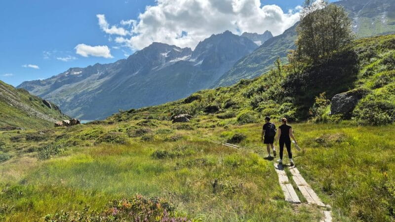 Full-Day Hiking Swiss Alps and Lake with Pick-up - Lucerne - Practical Details and Who It’s Best For