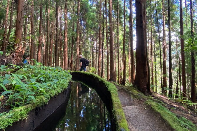 Full Day Hiking Trail in Lagoa do Fogo Sao Miguel - Key points / Takeaways