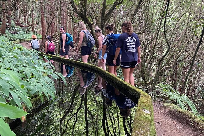 Full Day Hiking Trail in Lagoa do Fogo Sao Miguel - Price and value