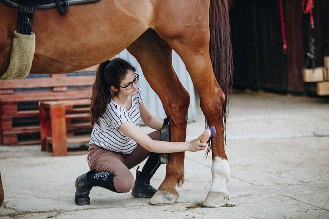 Full day Horse riding & Quad biking - Price and Logistics: Is It Worth It?