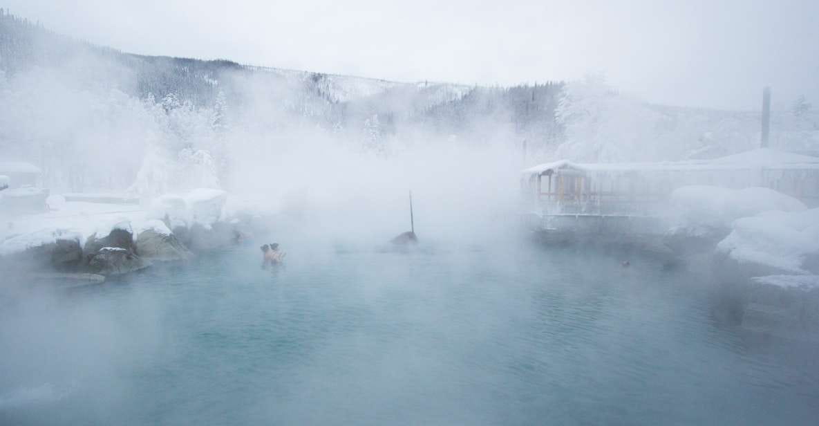 Full Day Ice Museum and Chena Hot Springs Tour - Key Points