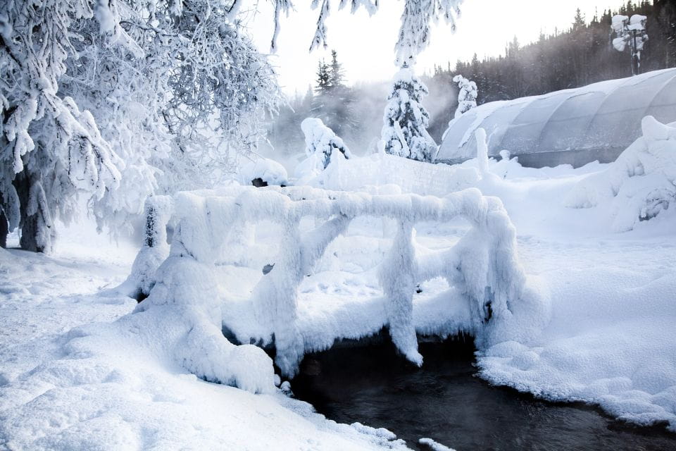 Full Day Ice Museum and Chena Hot Springs Tour - Booking and Availability