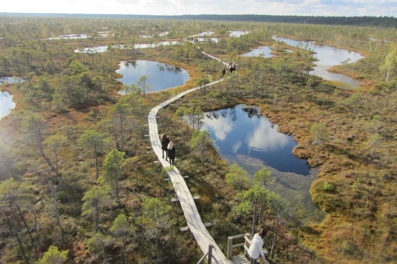 Full Day in Jurmala and Kemeri National Park - Who Will Love This Tour?