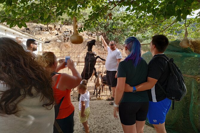 Full-Day Jeep Safari Tour With Cooking Lesson - Additional Information