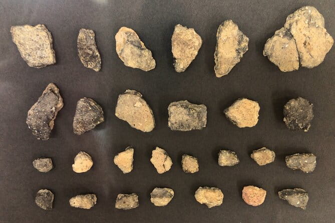 Full-Day Jomon World Heritage Site Tour in Northern Tsugaru Area - Meeting Point and Transportation Details