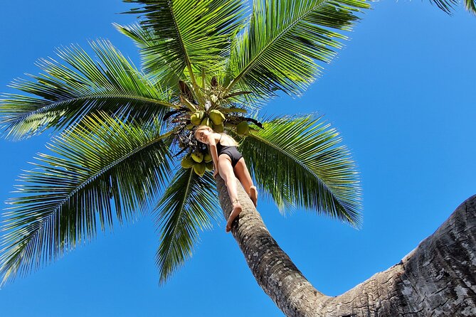 Full-Day Jungle Trek on Nosy Komba (Lemur Island) With the Black Lemur Sanctuary - Cancellation Policy