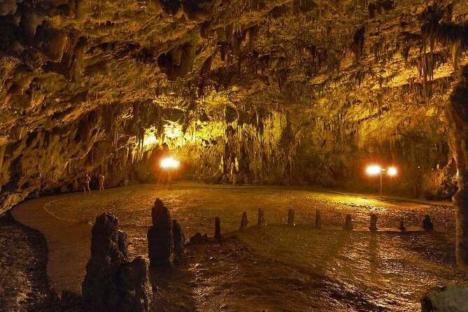 Full-Day Kefalonia Private Sightseeing Tour - Excluded Expenses