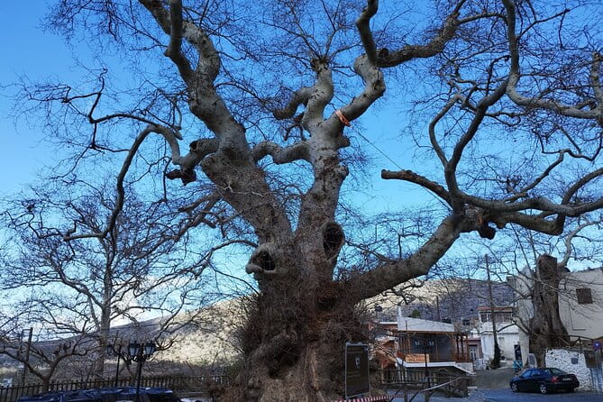 Full Day Knossos Palace Zeus Cave Lassithi Plateau from Elounda - Who is This Tour Best For?