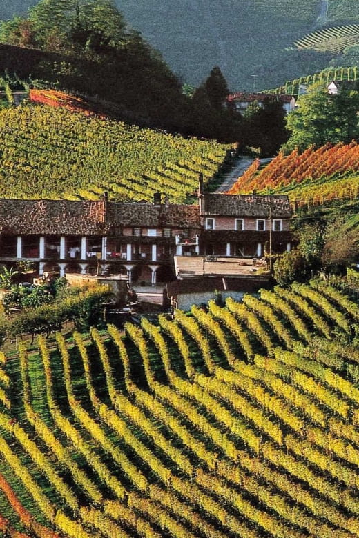 Full-Day Langhe Region Tour with Wine Tasting Experience - Entering the Charm of Piedmont’s Wine Country