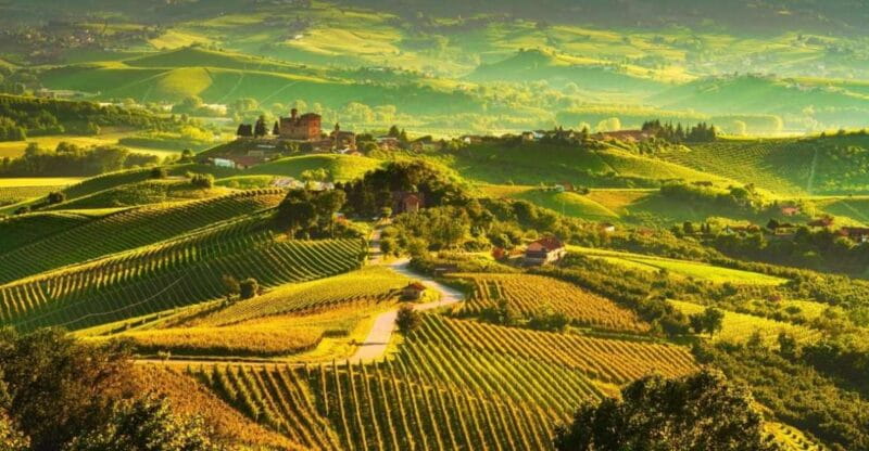Full-Day Langhe Region Tour with Wine Tasting Experience - Why This Tour Is an Excellent Choice